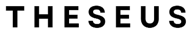theseus-cn.ru